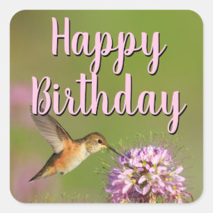 Happy Birthday Hummingbird Square Sticker