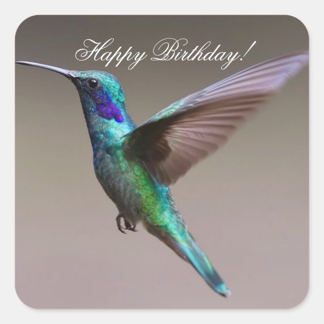 Happy Birthday Hummingbird Square Sticker (Front)