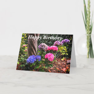 Happy Birthday Hydrangeas #1 Card