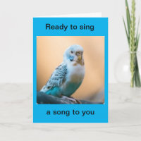HAPPY BIRTHDAY/I WILL "SING TO YOU"