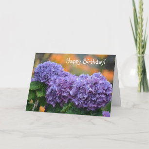 Happy Birthday Impressionistic Purple Hydrangea Holiday Card