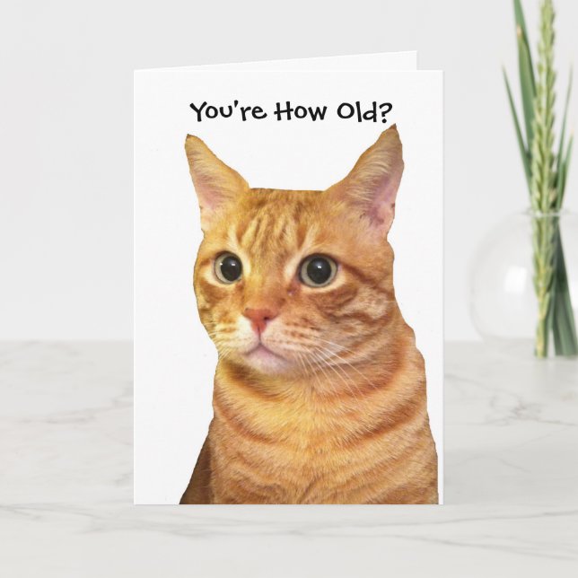 Happy Birthday in Cat Years Card (Front)