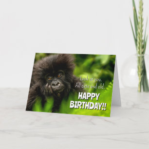 Happy Birthday   Infant Mountain Gorilla Card