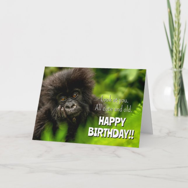 Happy Birthday | Infant Mountain Gorilla Card (Front)