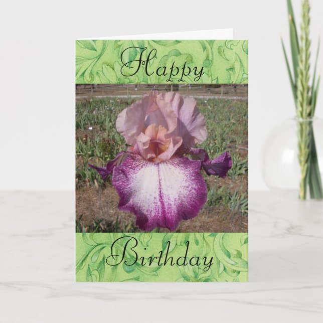 Happy Birthday - Iris Card (Front)