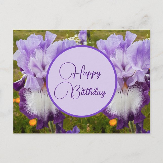 Happy Birthday Iris floral ladies Postcard (Front)