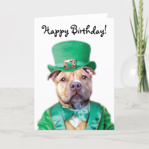 Happy Birthday Irish Pitbull Puppy greeting card