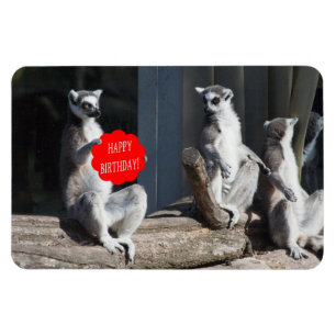 Happy Birthday Katta Magnet