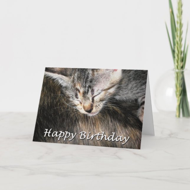 Happy Birthday Kitten and Cat Card (Front)