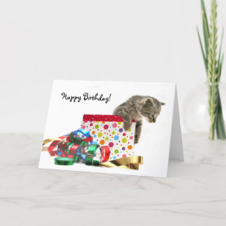 Happy Birthday kitten Card
