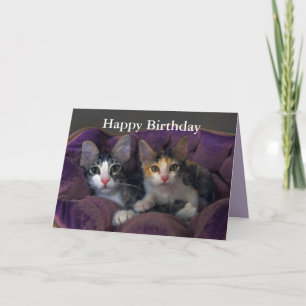 Happy Birthday Kitten Pair in a Purple Bed Card