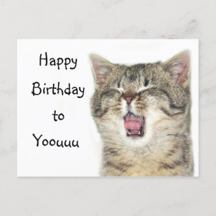 Happy Birthday kitten Postcard