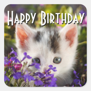 Happy Birthday Kitten Square Sticker