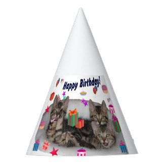 Happy Birthday Kittens Party Hat