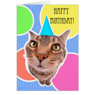 Happy Birthday Kitty Cat