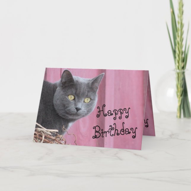 Happy Birthday Kitty Cat Card (Front)