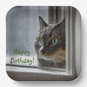 Happy Birthday Kitty Cat Paper Plate