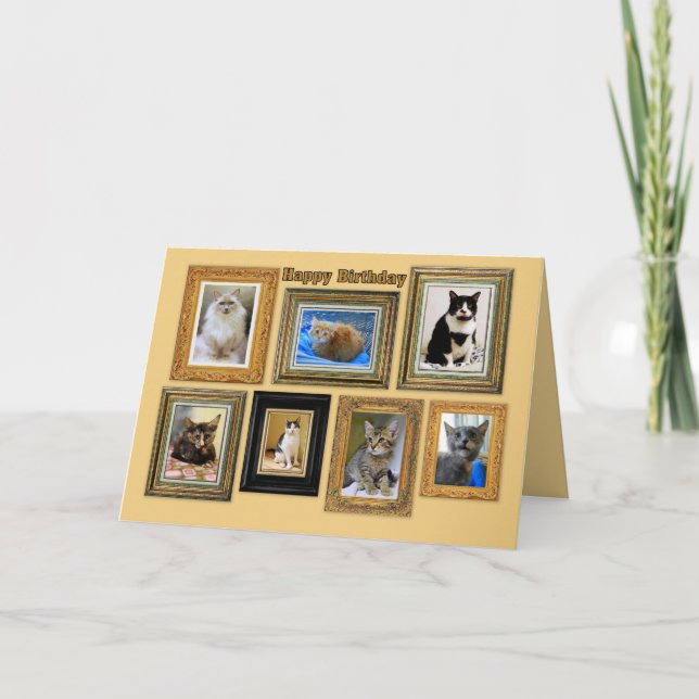 Happy Birthday Kitty Portrait Gallery Card (Front)