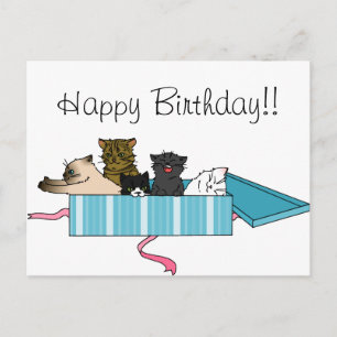 Happy Birthday Kitty Postcard