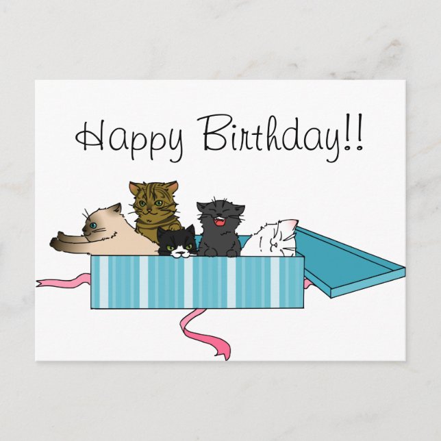 Happy Birthday Kitty Postcard (Front)