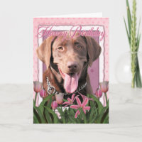 Happy Birthday - Labrador - Chocolate