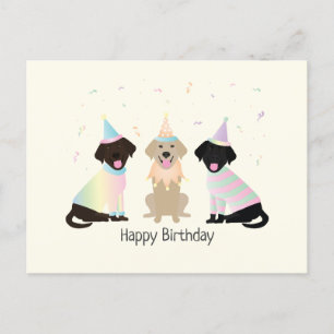 Happy Birthday Labrador Retriever Dogs Postcard