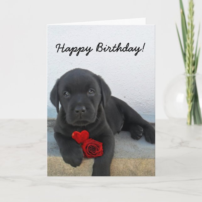 Happy Birthday Labrador Retriever greeting card (Front)
