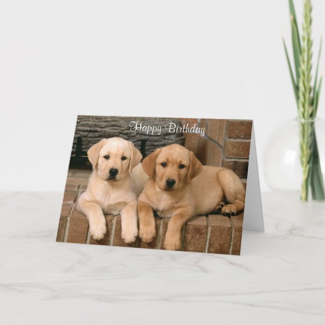 Happy Birthday Labrador Retriever Puppies Card (Front)