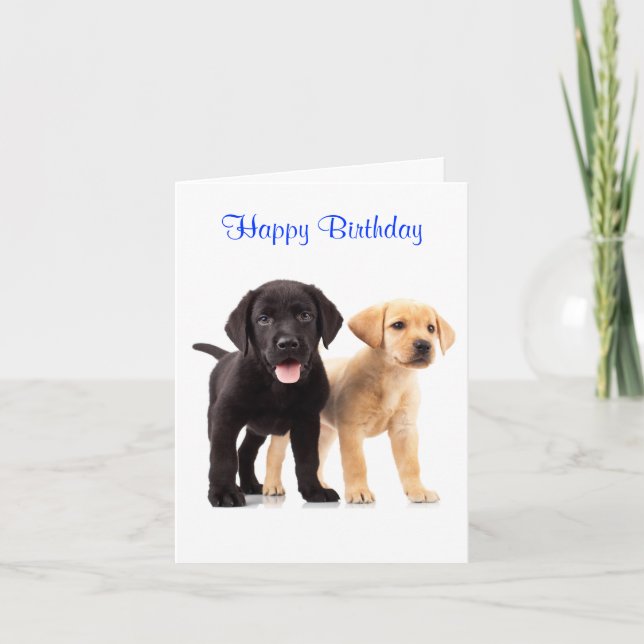 Happy Birthday Labrador Retriever Puppies Card (Front)