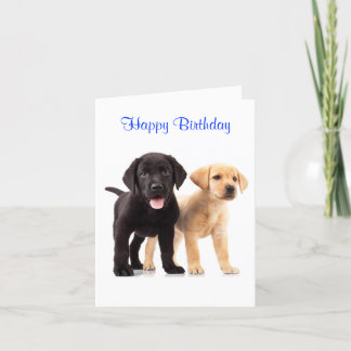 Happy Birthday Labrador Retriever Puppies Card