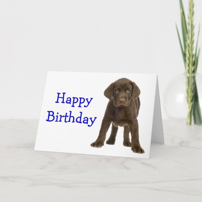 Happy Birthday Labrador Retriever Puppy Dog Card (Front)