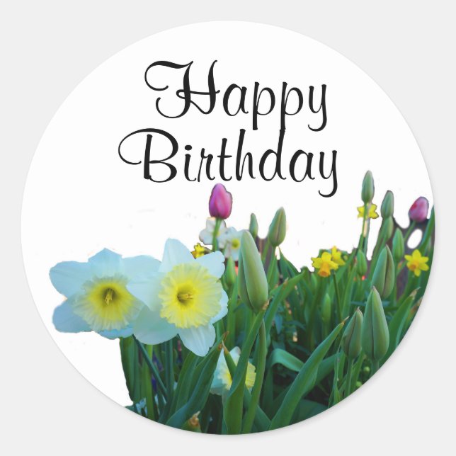 Happy Birthday Large-Cupped Daffodil #2 Stickers (Front)