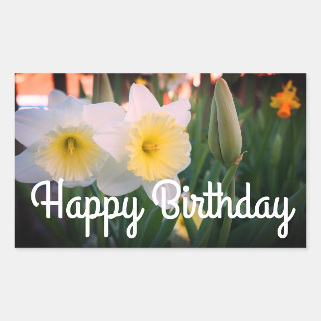 Happy Birthday Large-Cupped Daffodil Stickers (Front)