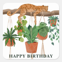 Happy Birthday, Leopard sleeping with house plants