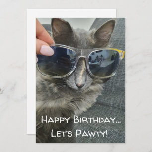 "happy birthday let's pawty" funny cat photo card