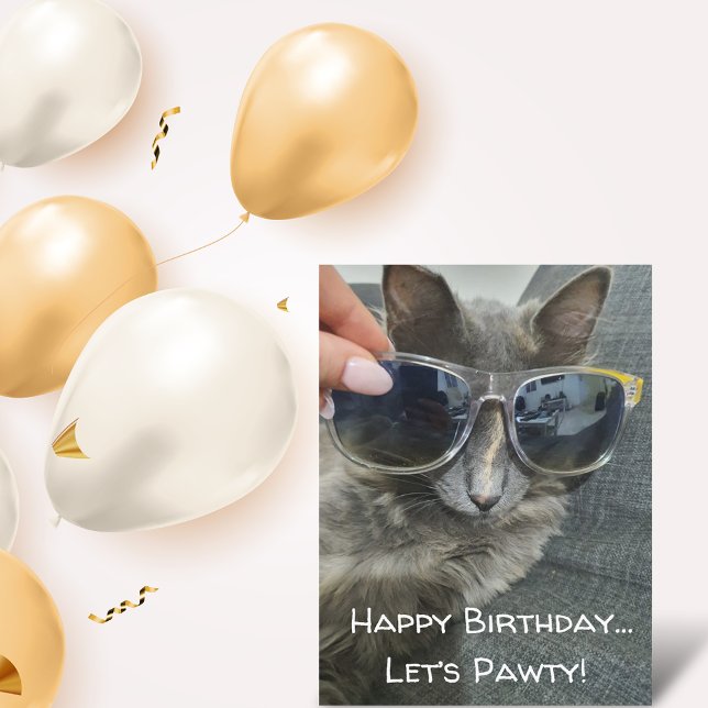 "happy birthday let's pawty" funny cat photo chic postcard (Creator Uploaded)