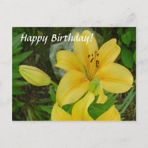 Happy Birthday Lily Postcard