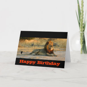 Happy Birthday Lion Sunset Card