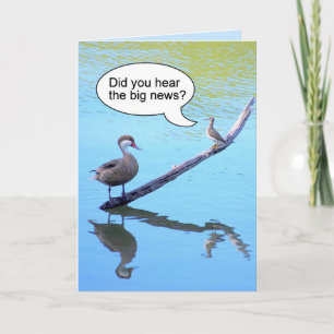 Happy Birthday Little Bird Humour Card