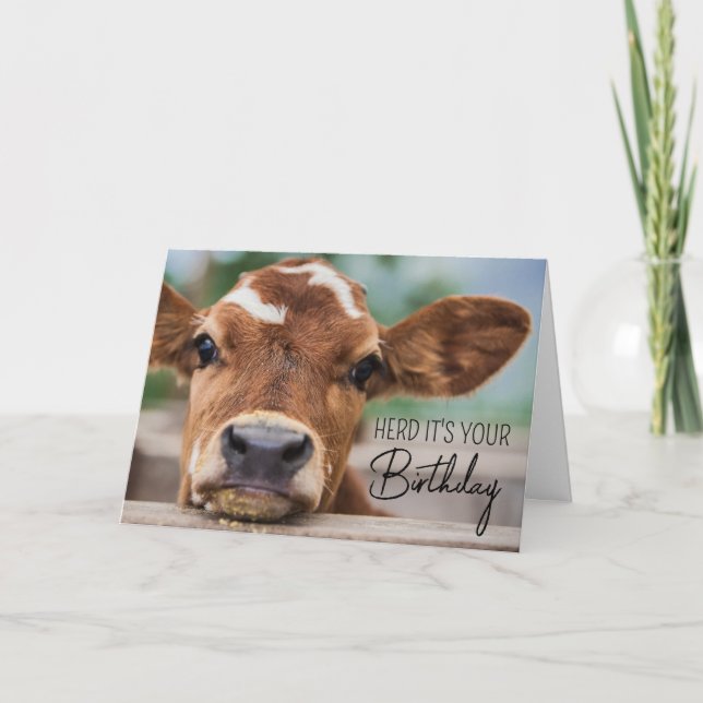 Happy Birthday | Little Cow Calf Card (Front)