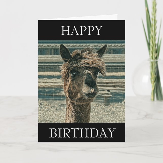 Happy Birthday Llama - Birthday Card (Front)