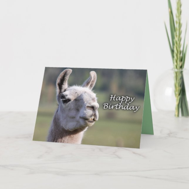 Happy Birthday llama | llama happy birthday Card (Front)