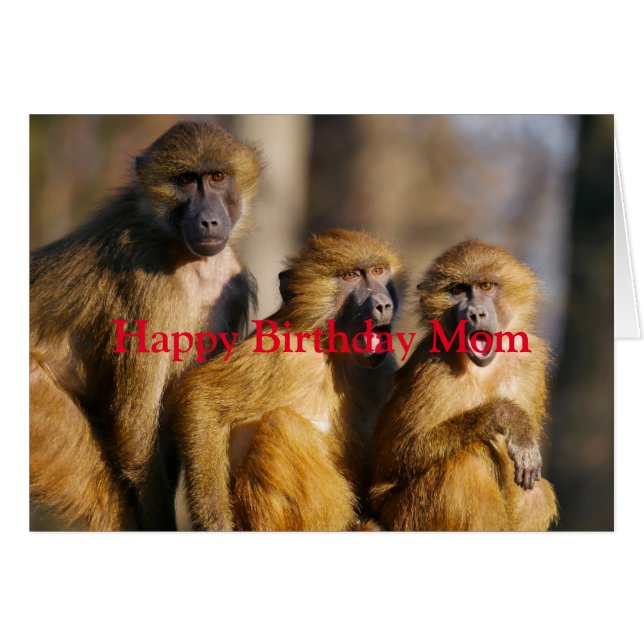 Happy Birthday Love From Your Monkeys Fun Animal (Front Horizontal)
