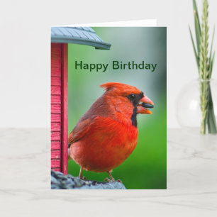 Happy Birthday - male cardinal Card