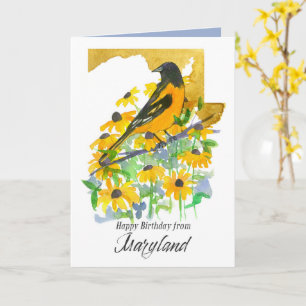 Happy Birthday Maryland Baltimore Oriole Bird  Card