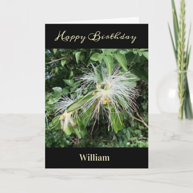 Happy Birthday Men Dad Nature Photo Personalize   Card (Front)