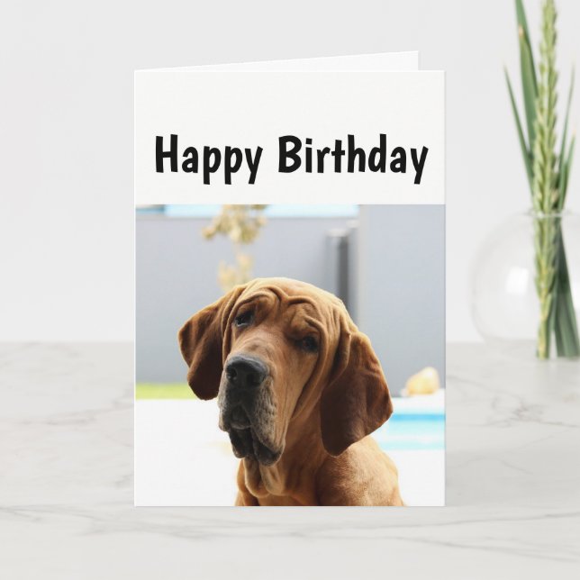 Happy Birthday Middle Age Over the Hill Humour Dog Card (Front)