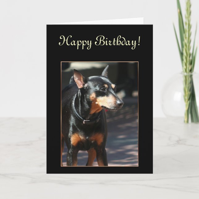 Happy Birthday Miniature Pinscher greeting card (Front)