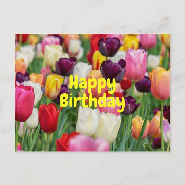 Happy Birthday Mixed Colour Tulip Flowers  Postcard (Front)