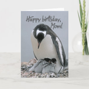 Happy birthday,mom card